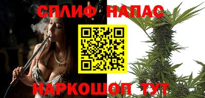 прущие грибы Кингисепп