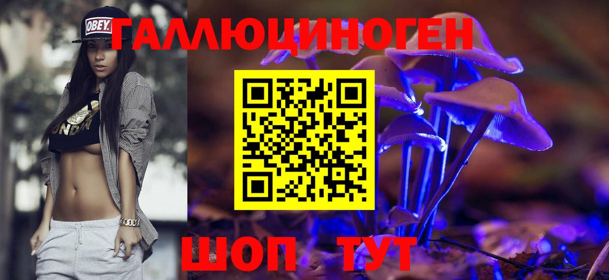 Псилоцибиновые грибы прущие грибы Киров